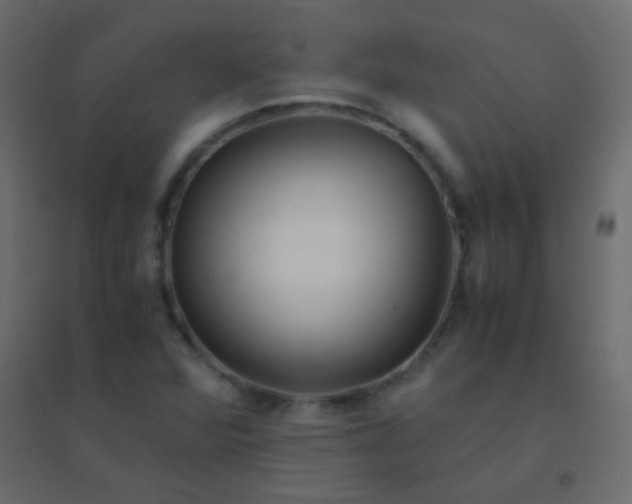 X0000094951360200712131613