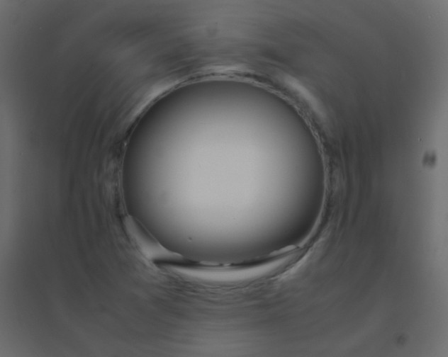 X0000094951361200712131613