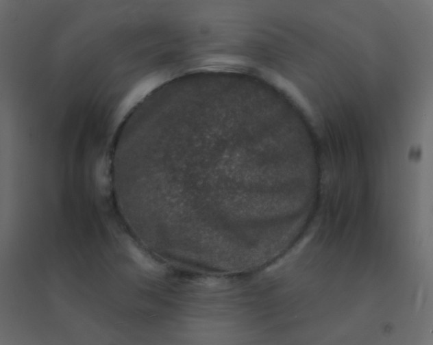 X0000094951362200712131613