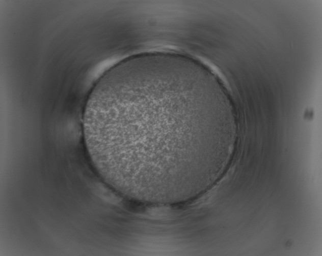 X0000094951363200712131613