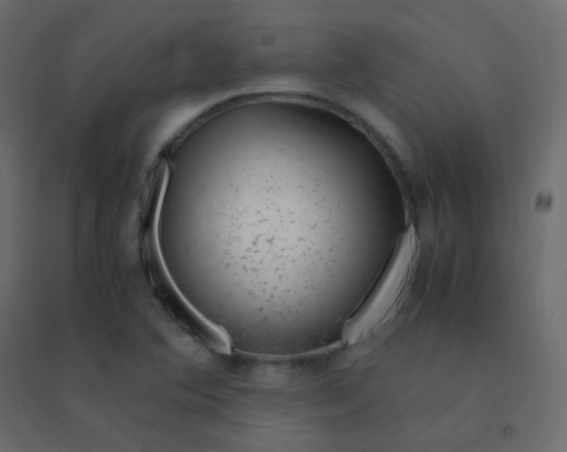 X0000094951364200712131613