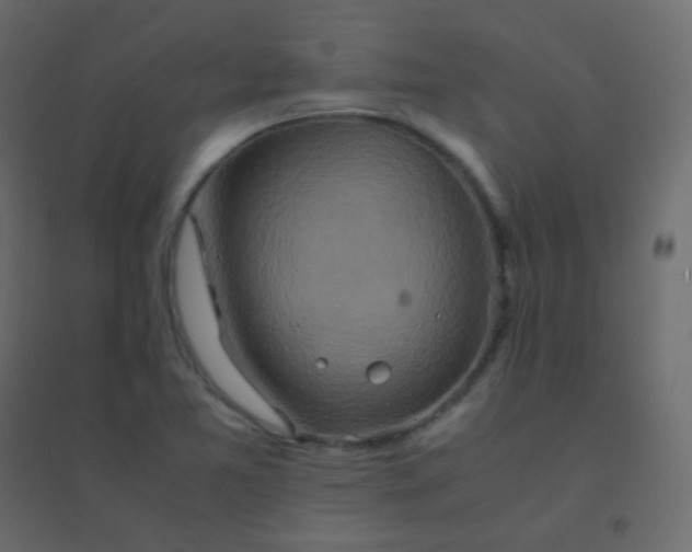 X0000094951365200712131613