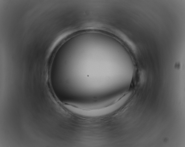 X0000094951368200712131613