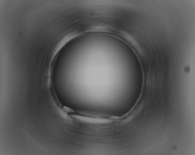 X0000094951370200712131613