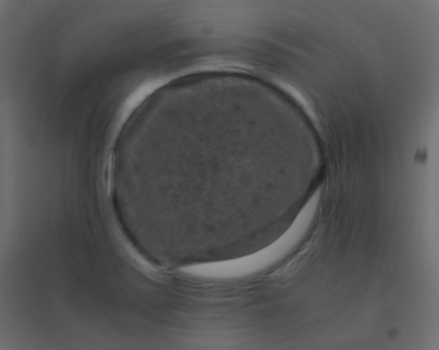 X0000094951371200712131613