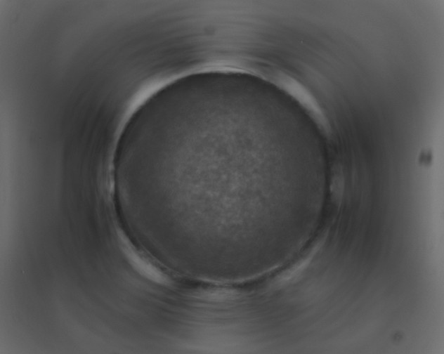 X0000094951372200712131613