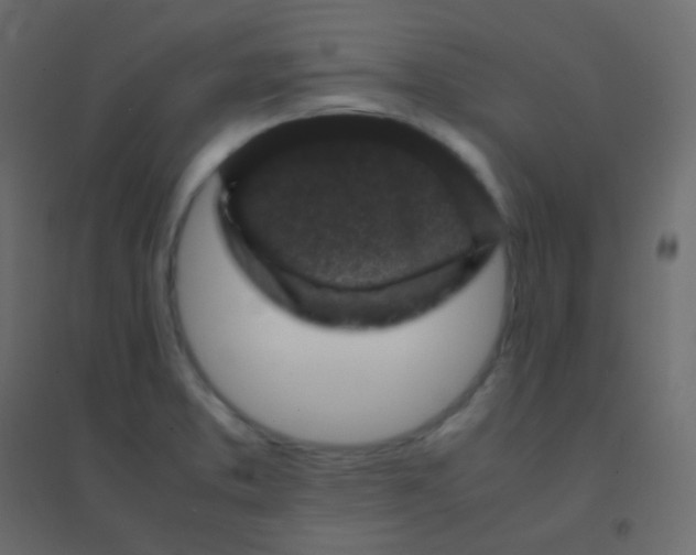 X0000094951373200712131613