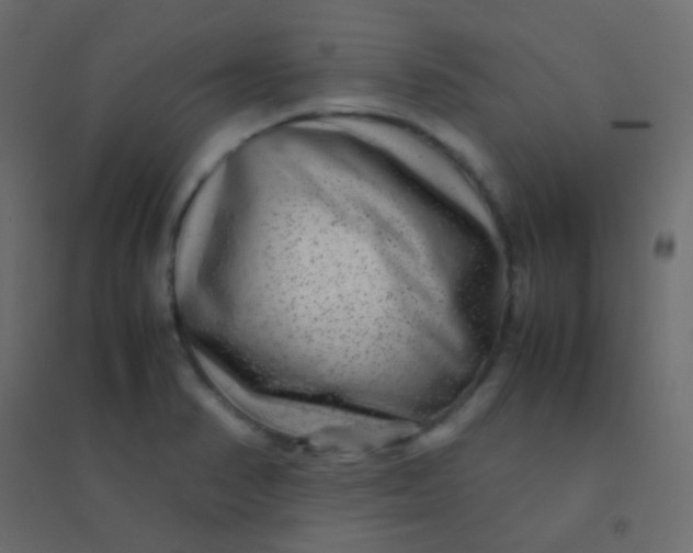 X0000094951374200712131613