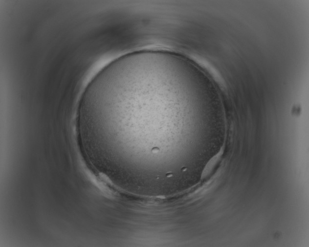 X0000094951375200712131613