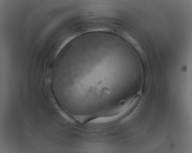 X0000094951377200712131613