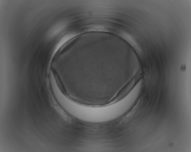 X0000094951378200712131613