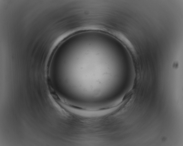 X0000094951380200712131613