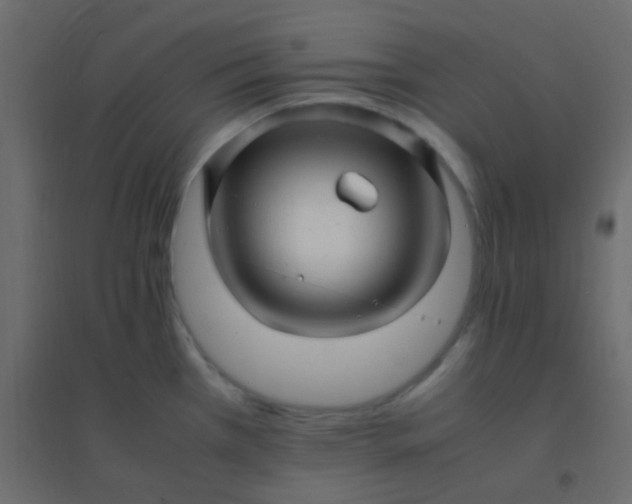 X0000094951385200712131613