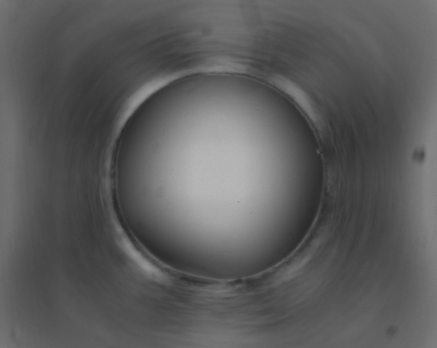 X0000094951387200712131613