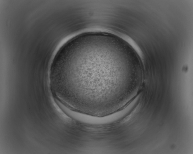 X0000094951388200712131613