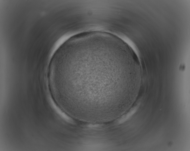 X0000094951389200712131612