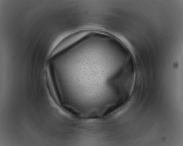 X0000094951390200712131612