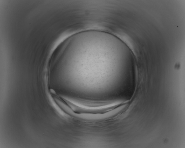 X0000094951391200712131612