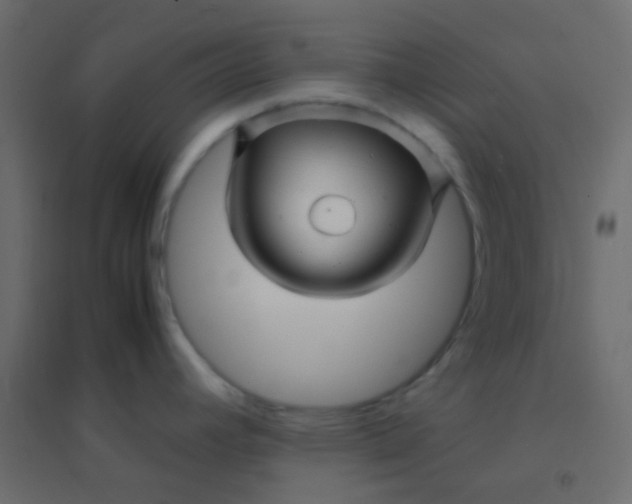 X0000094951392200712131612