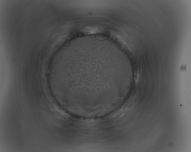 X0000094951393200712131612