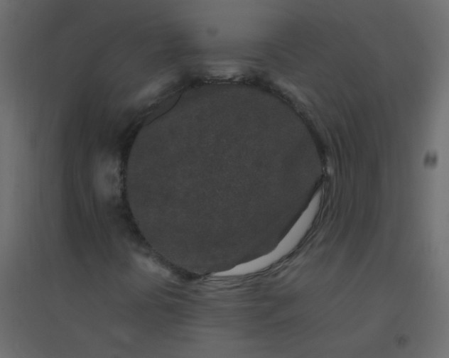 X0000094951394200712131612