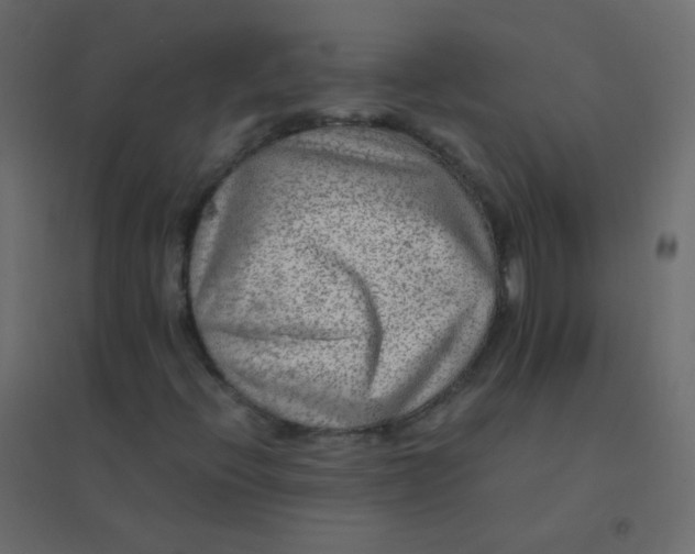 X0000094951396200712131612