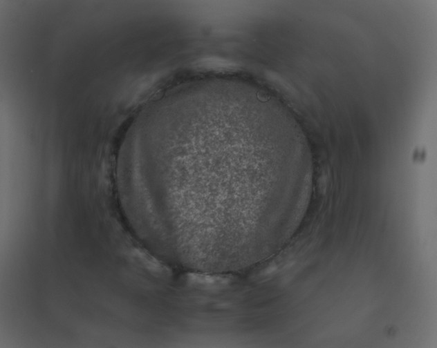 X0000094951397200712131612