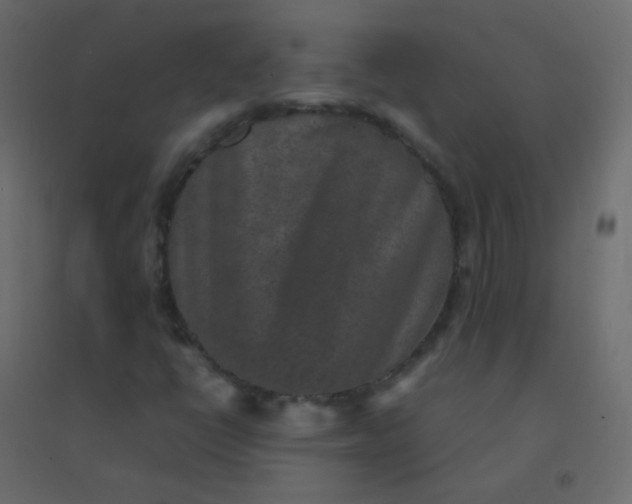 X0000094951398200712131612