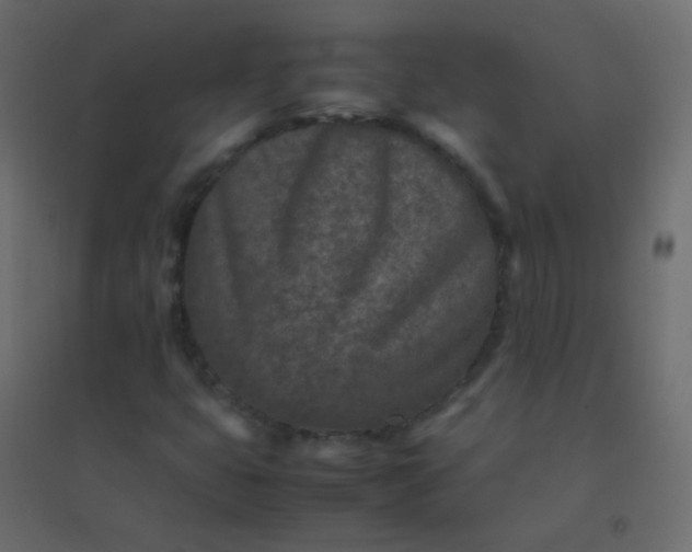 X0000094951399200712131612