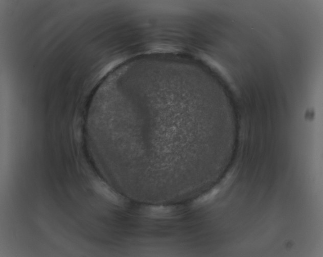 X0000094951401200712131612