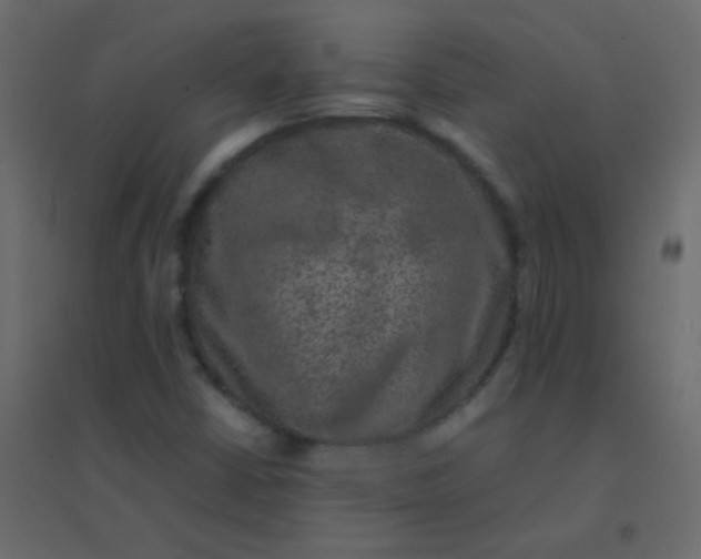 X0000094951402200712131612