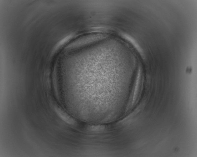 X0000094951403200712131612