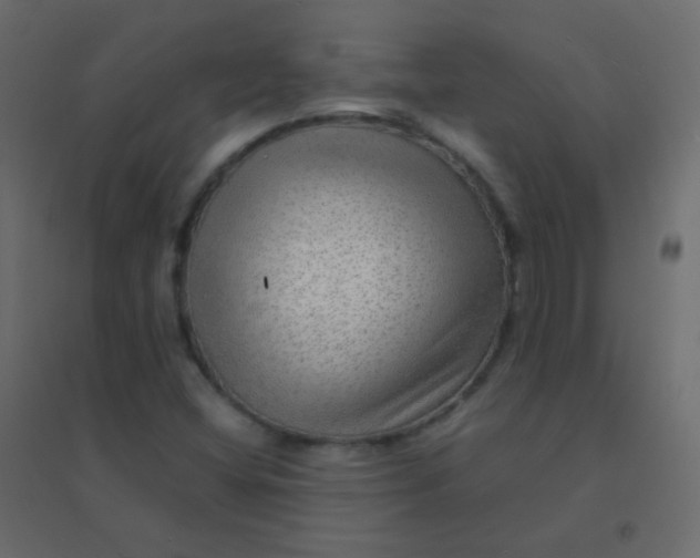 X0000094951404200712131612