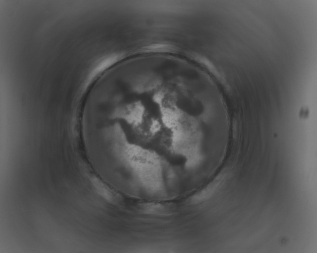 X0000094951405200712131612