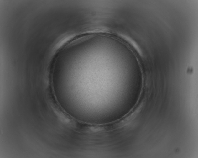 X0000094951407200712131612