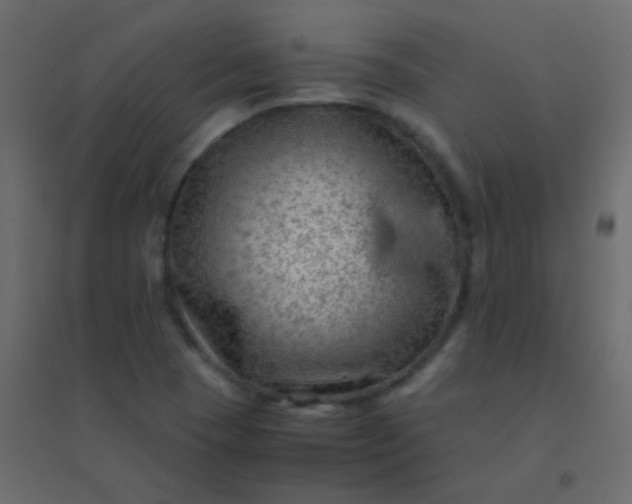 X0000094951409200712131612