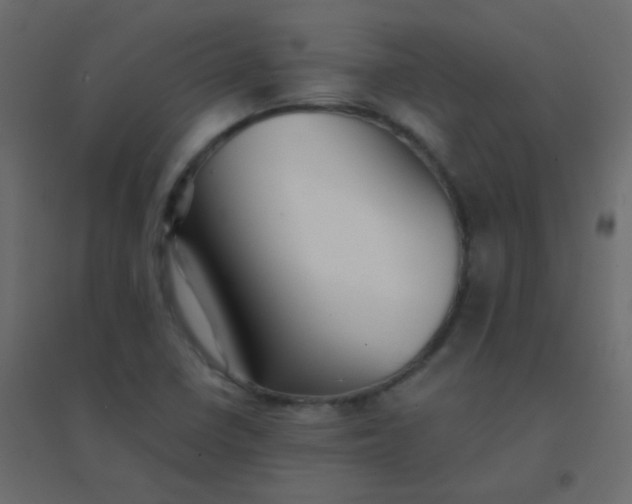 X0000094951410200712131612