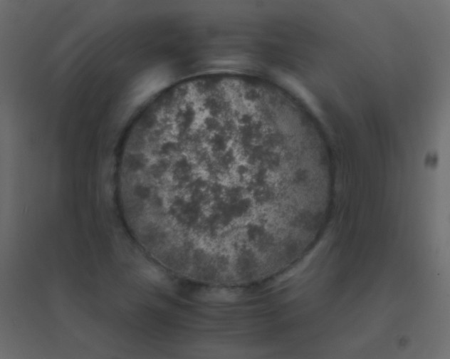 X0000094951411200712131612