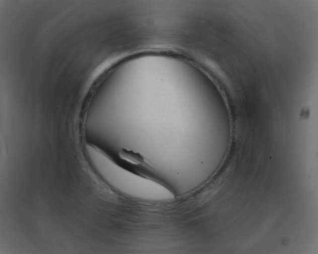 X0000094951412200712131612