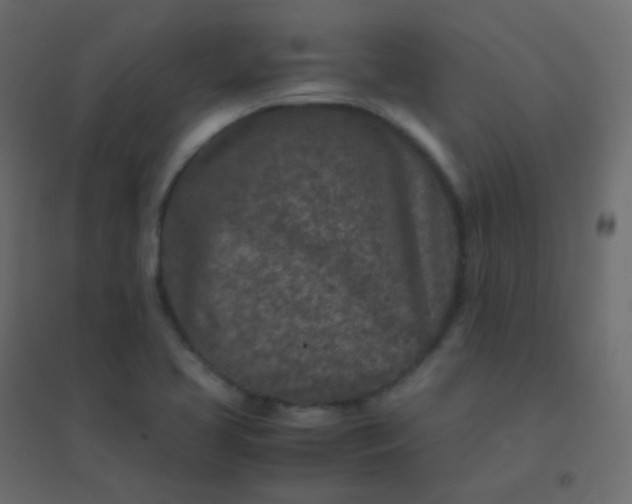 X0000094951413200712131612