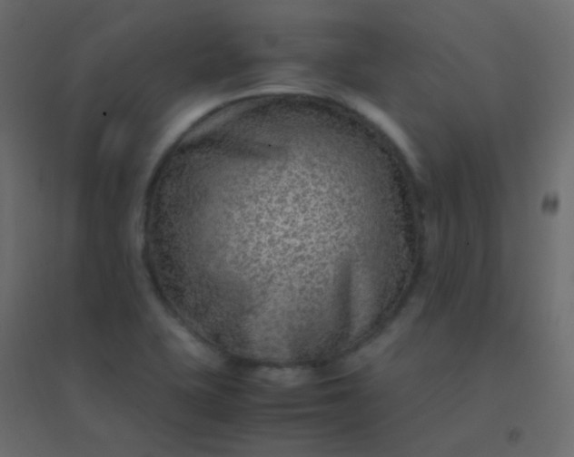 X0000094951415200712131612