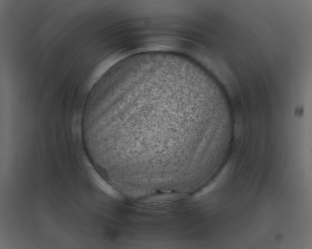 X0000094951417200712131612