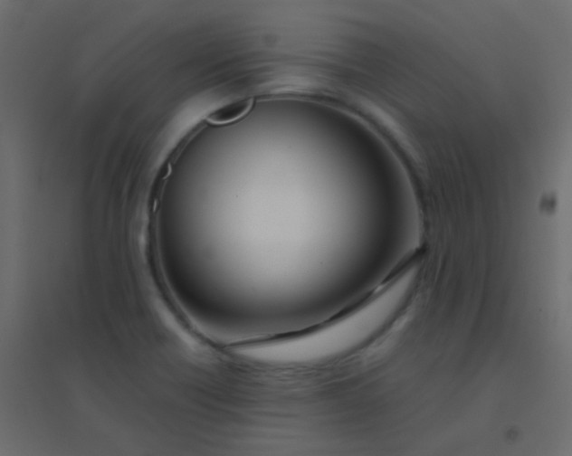 X0000094951418200712131612