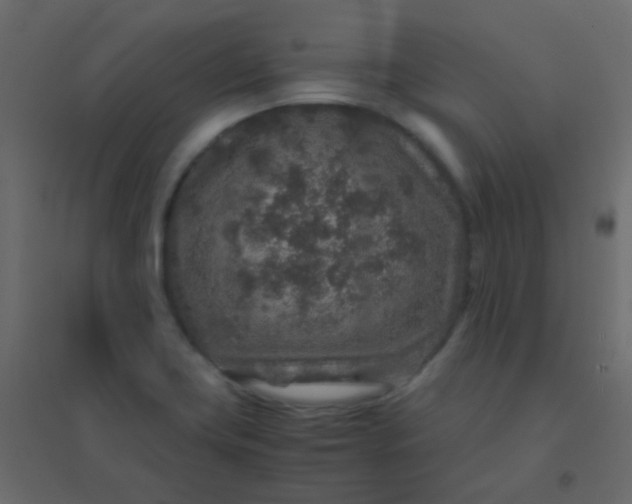 X0000094951419200712131612