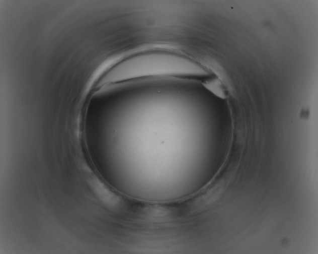 X0000094951420200712131612