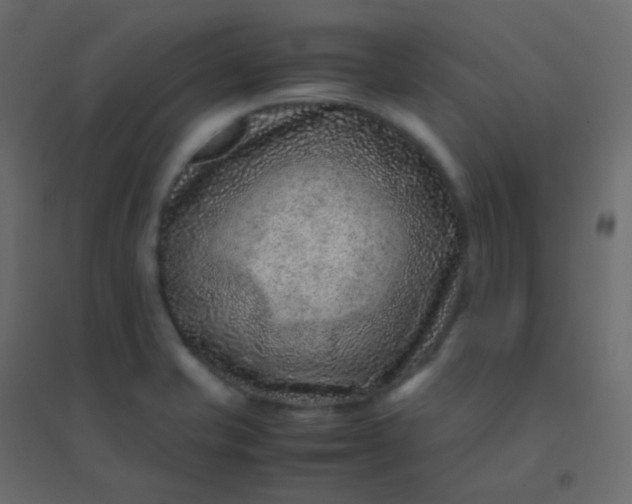 X0000094951421200712131612