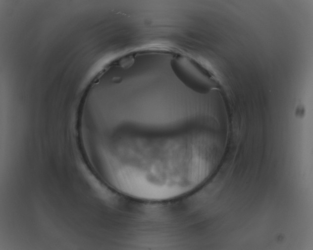 X0000094951422200712131612