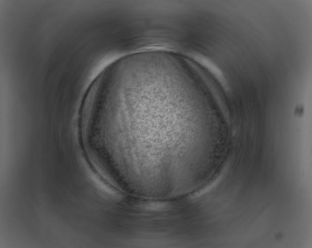 X0000094951423200712131612