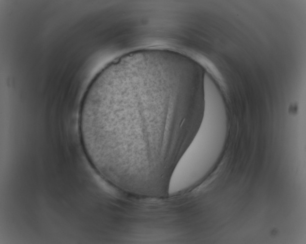 X0000094951424200712131612