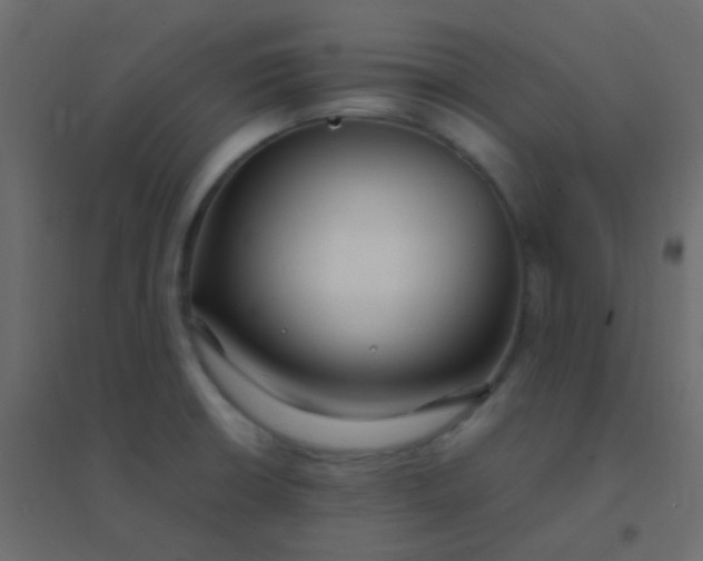 X0000094951426200712131612